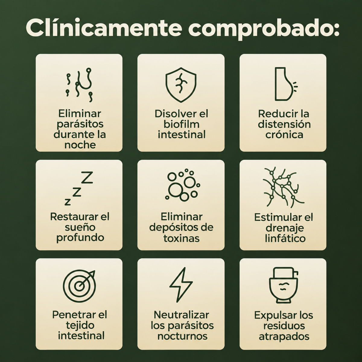 Vitalgen Ritual de Ricino™