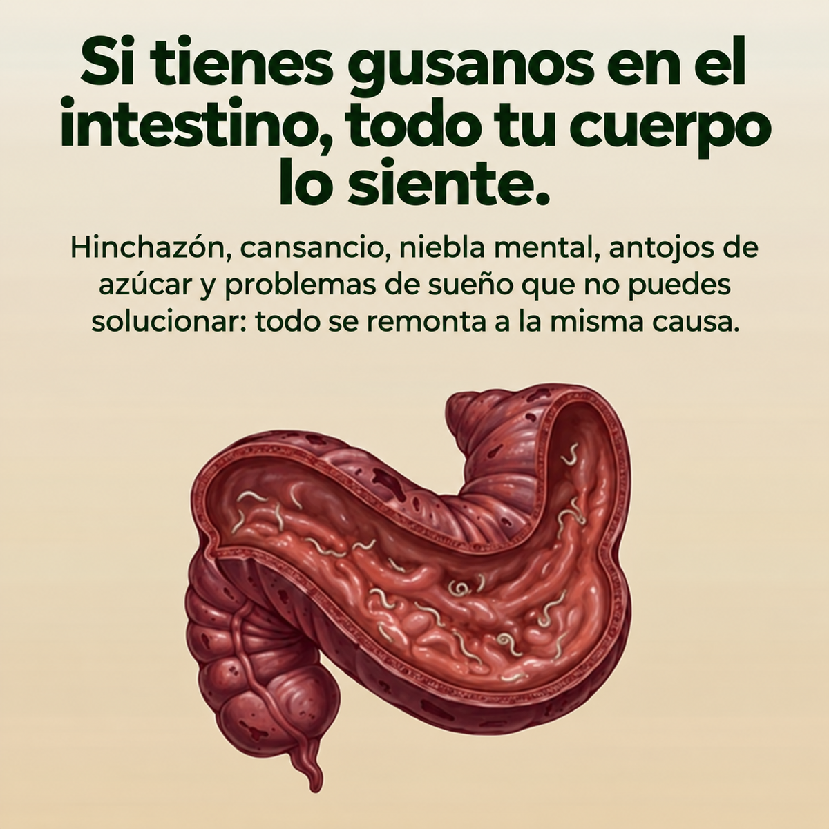 Vitalgen Ritual de Ricino™